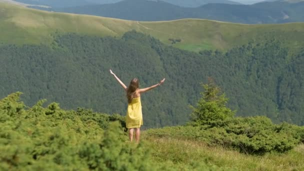 여자가 산에서 이무성 초원에 자연을 — 비디오