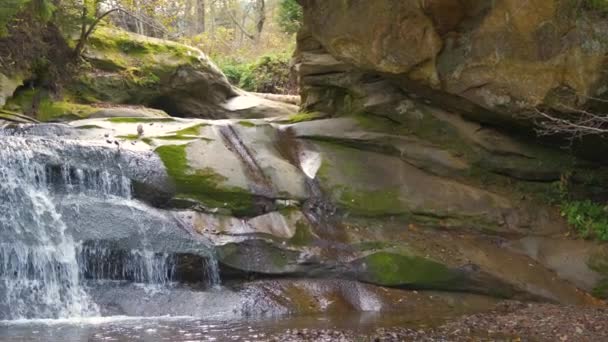 Een Kleine Bergstroom Met Snel Bewegend Helder Water Tussen Rotsachtige — Stockvideo