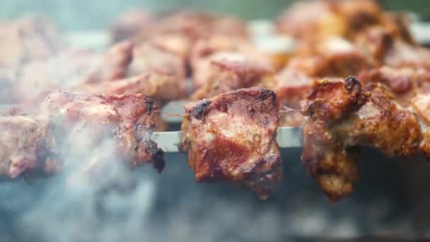 什锦或什锦烤面包 用热炭烤烧烤 金属绞架上烤猪肉片 — 图库视频影像