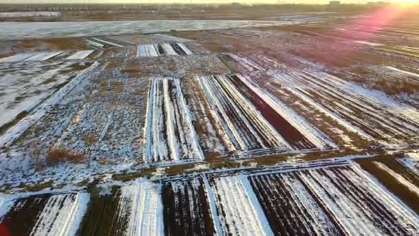 Vista Aérea Los Campos Agrícolas Invierno — Vídeos de Stock