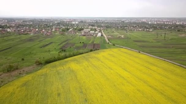 Vista Aérea Los Campos Agricultores Amarillos Verdes Primavera — Vídeos de Stock