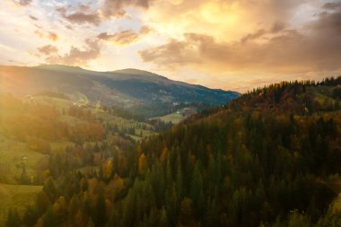 Sonbaharda yoğun sarı orman ve yeşil ladin ağaçlarıyla kaplı yüksek dağ tepelerinin havadan görünüşü.