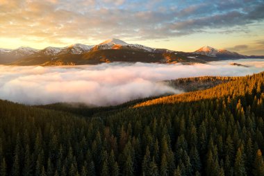 Sonbaharda Karpatlar 'ın dağlık tepelerindeki canlı gündoğumunun havadan görünüşü ebediyen yeşil ladin ormanlarıyla kaplıydı..
