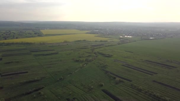 Luftaufnahme Von Grünen Hügeln Mit Wald Und Dunklen Regenwolken Sommer — Stockvideo