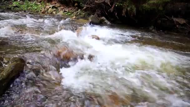 Rychle Tekoucí Voda Horském Lese Řeky — Stock video