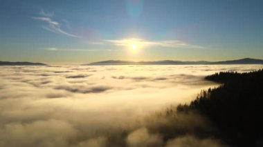 Karanlık dağ ladin ağaçları ile beyaz yoğun bulutlar üzerinde canlı günbatımının havadan görünüşü.