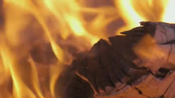 夜の火災の黄色の熱い炎と明るい木材のログを燃焼の閉じる — ストック動画
