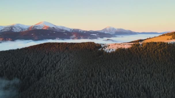 Luchtfoto Van Levendige Zonsopgang Boven Karpaten Bergen Bedekt Met Groenblijvende — Stockvideo