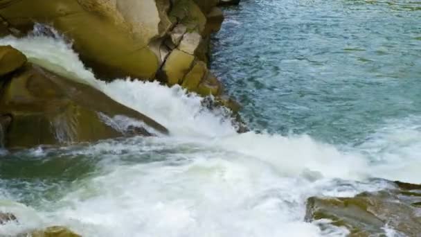 Mountain River Clear Turquoise Water Falling Cascades Wet Boulders Thick — Stock Video