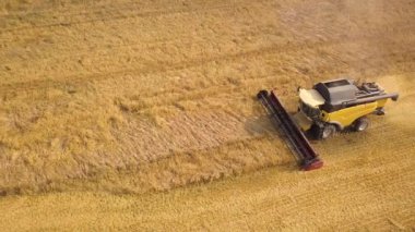 Buğday tarlasını hasat eden hasatçının hava görüntüsü. İHA görünümünden tarım.
