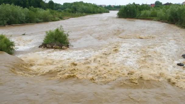 Ampio Fiume Sporco Con Acqua Fangosa Periodo Inondazione Durante Forti — Video Stock