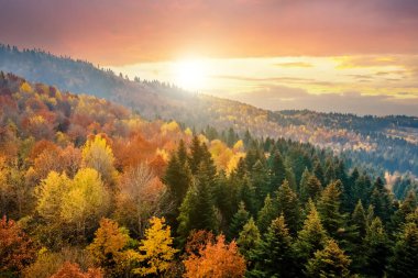 Yoğun çam ormanlarından, yeşil ladin ağaçlarından ve sonbahar dağlarında günbatımında renkli sarı yemyeşil gölgelerden manzarayı seyret..