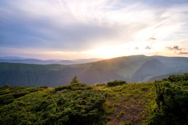 Yaz akşamı dağ manzarası çimenli tepeler ve renkli günbatımında uzak tepeler.