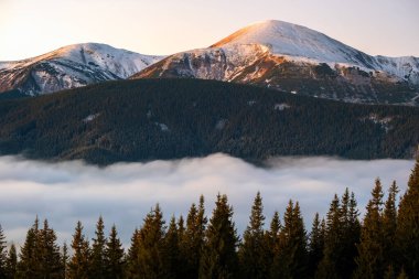 Hoverla Dağı 'nın manzarası, Ukrayna' nın en yüksek tepesi Karpatlar 'ın beyaz hızlı hareket eden bulutlarla çevrili şafak vakti..