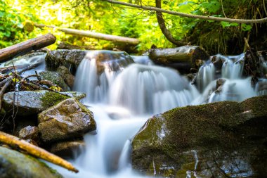 Küçük şelaleli dağ nehri berrak turkuaz suyla kalın beyaz köpüklü ıslak kayaların arasına düşüyor..