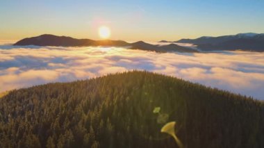 Sonbaharda yeşil ladin ormanlarıyla kaplı dağ tepelerinin üzerinde canlı gündoğumunun hava manzarası..