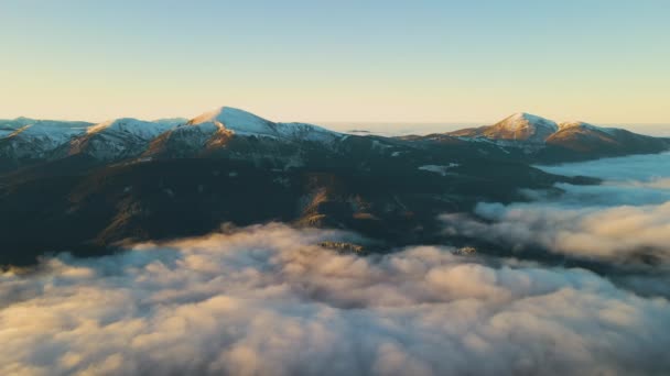 Flygfoto Över Livlig Soluppgång Över Karpatiska Bergskullar Täckt Med Vintergrön — Stockvideo