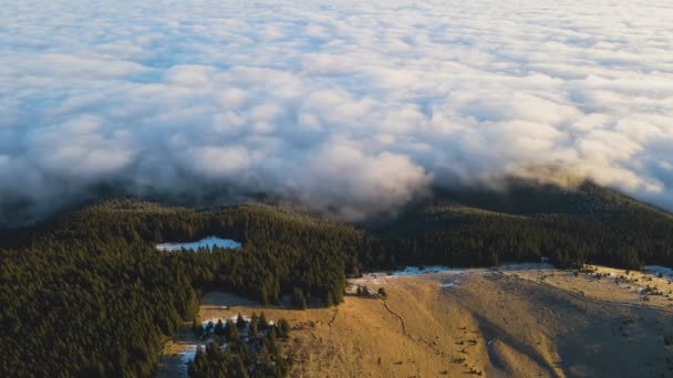 Luftaufnahme Des Pulsierenden Sonnenaufgangs Über Mit Immergrünem Fichtenwald Bedeckten Grashügeln — Stockvideo