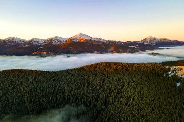 Sonbaharda yeşil ladin ormanlarıyla kaplı dağ tepelerinin üzerinde canlı gündoğumunun hava manzarası..