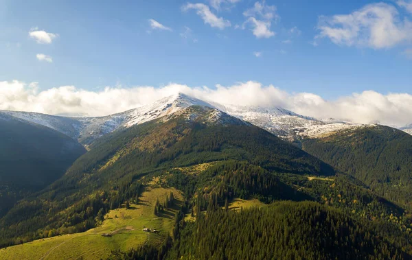 Aerial view of majestic mountains covered with green spruce forest and high snowy peaks.