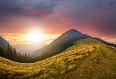 Güneşli bir yaz akşamında muhteşem uzak dağın eteğindeki yeşil çimenli tepelerin güzel manzarası..