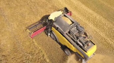 Buğday tarlasını hasat eden hasatçının hava görüntüsü.