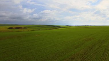 Baharın başlarında açık yeşil tarım alanının havadan görünüşü.