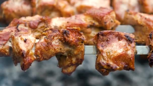 Shashlik Shish Kebab Preparing Barbecue Grill Hot Charcoal Grilled Pieces — Stock Video