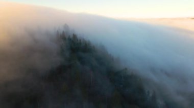 Sisli ormanın üzerindeki karamsar manzaranın havadan görünüşü gün batımında dağ tepelerini kaplayan çam ağaçları..