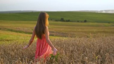 Gün batımında altın buğday tarlasında yürüyen uzun saçlı genç bir kadın..