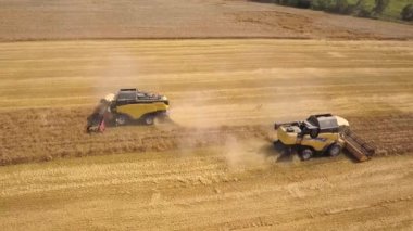 Buğday tarlasını hasat eden hasatçının hava görüntüsü.