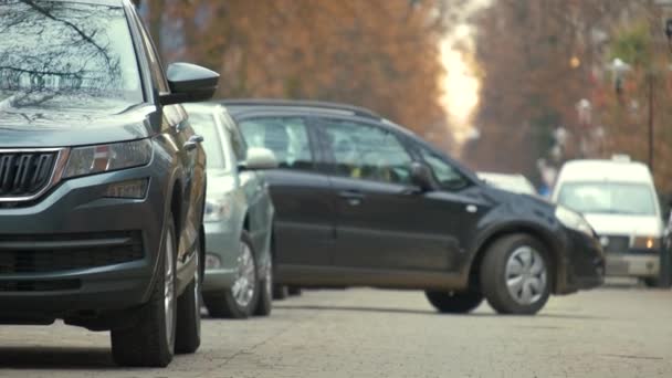 Cars Parked Row City Street Side — Stock Video