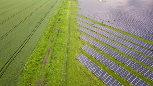 Vista Aérea Del Campo Planta Energía Solar Paneles Fotovoltaicos Eléctricos — Vídeos de Stock