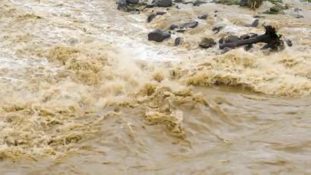 春雨时洪水期泥泞河流的脏水 — 图库视频影像