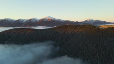 Sonbaharda Karpatlar 'ın dağlık tepelerindeki canlı gündoğumunun havadan görünüşü ebediyen yeşil ladin ormanlarıyla kaplıydı..