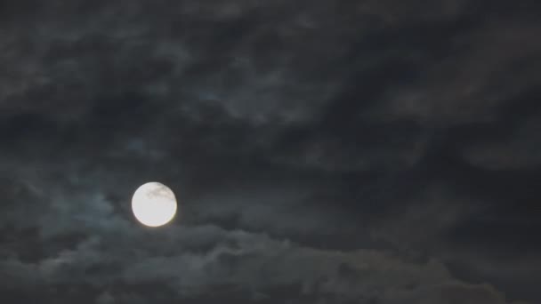 Яскравий Повний Місяць Швидкими Темними Хмарами Нічному Небі — стокове відео