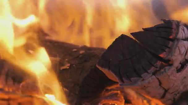 Gece Parlak Yanan Odunları Sarı Ateş Alevleriyle Kapatın — Stok video