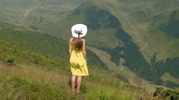 Giovane Donna Abito Rosso Piedi Campo Erboso Una Giornata Ventosa — Video Stock