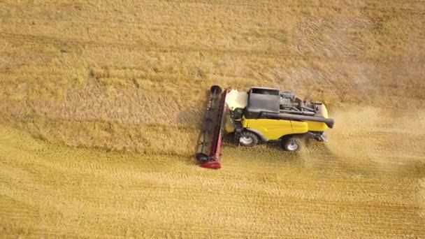 联合收割机收获大熟麦田的空中观 — 图库视频影像