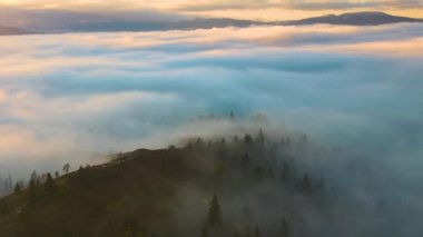 Gün batımında dağları kaplayan çam ağaçları ile sisli ormanın üzerindeki renkli manzaranın havadan görüntüsü.