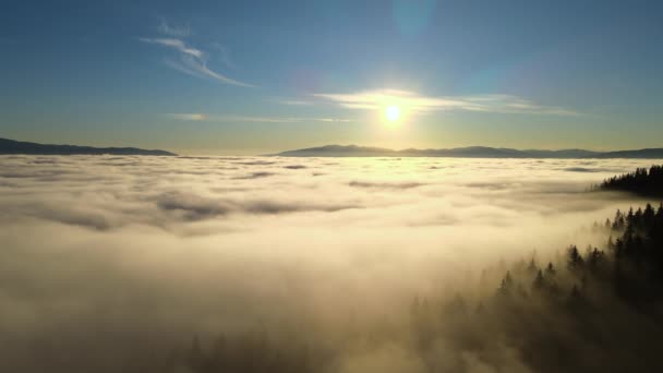 Vista Aérea Vibrante Puesta Sol Sobre Densas Nubes Blancas Con — Vídeos de Stock