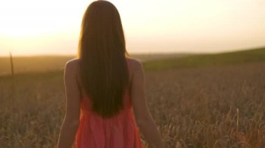 Gün batımında altın buğday tarlasında yürüyen uzun saçlı genç bir kadın..