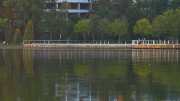 Superficie Del Espejo Agua Del Lago Con Ondas Que Reflejan — Vídeo de stock