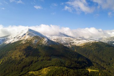 Yeşil ladin ormanları ve yüksek karlı tepelerle kaplı görkemli dağların havadan görünüşü.