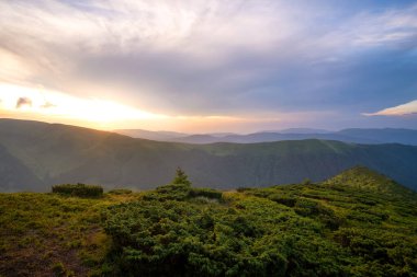 Yaz akşamı dağ manzarası çimenli tepeler ve renkli günbatımında uzak tepeler.