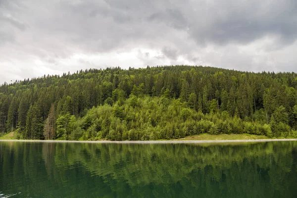 Vista Frontale Incredibile Vista Lago Grande Alberi Verdi Nella Foresta — Foto Stock