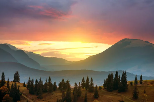 Paisaje Atardecer Picos Alta Montaña Valle Brumoso Con Pinos Bajo — Foto de Stock