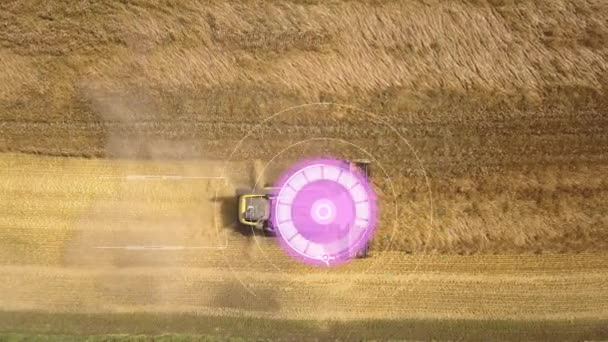 自律走行の空中ビューは 正確な位置決めのためのGpsナビゲーションシステムを使用して熟した小麦畑を収穫する自動操縦と収穫機を組み合わせています — ストック動画