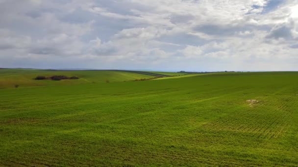 Légi Kilátás Élénk Zöld Mezőgazdasági Terület Kora Tavasszal — Stock videók