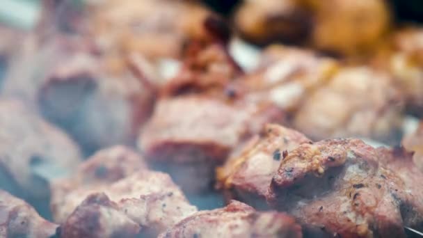 Shashlik Shish Kebab Preparing Barbecue Grill Hot Charcoal Grilled Pieces — Stock Video